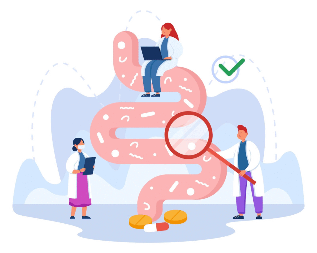 O papel da microbiota intestinal na saúde geral 3 microbiota intestinal